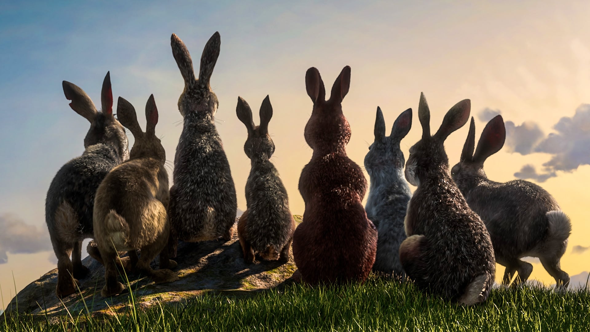 |FR| La Colline Aux Lapins (Watership Down) 2018 FHD 0