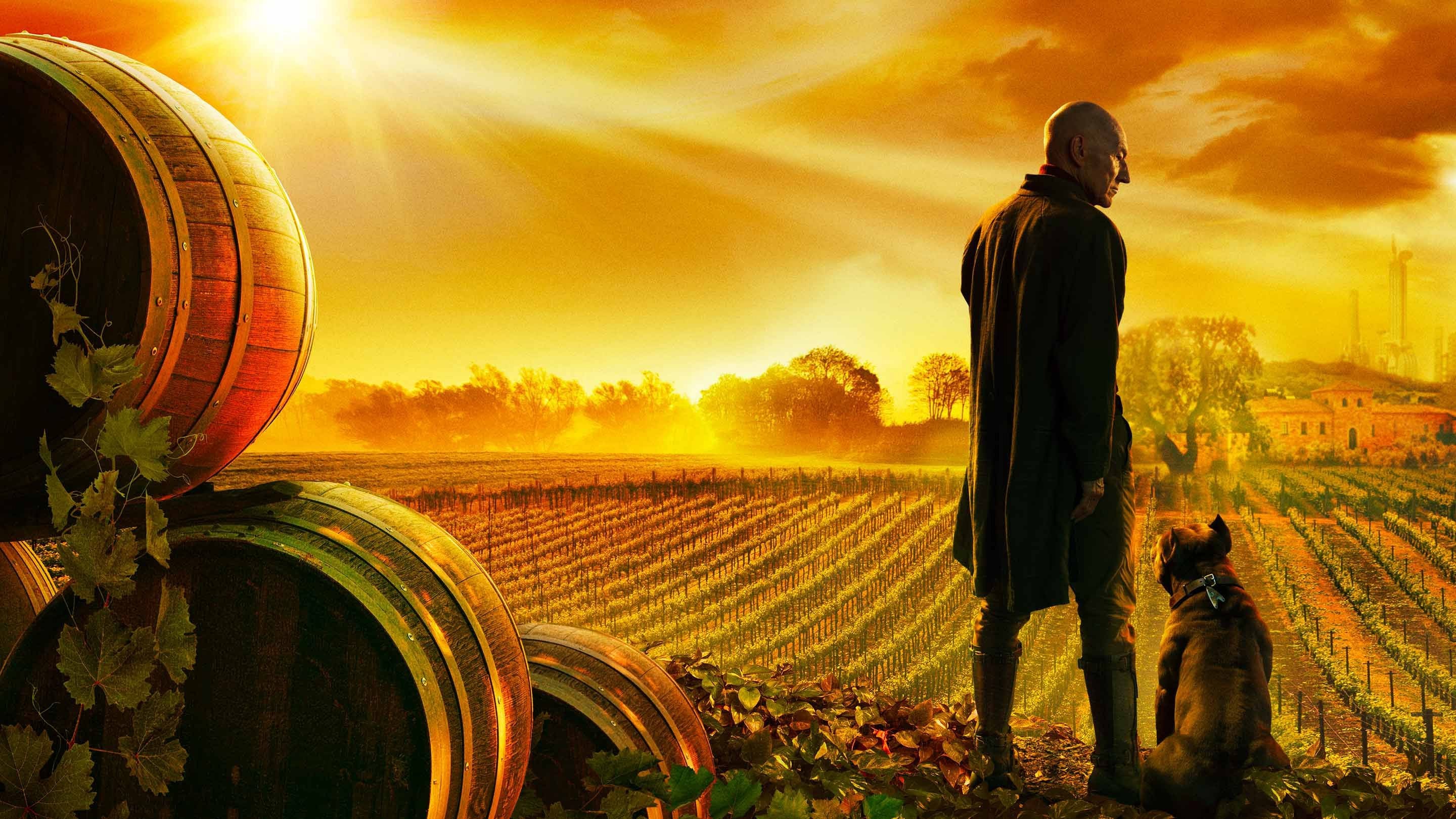 |PT| Star Trek: Picard (L) 0